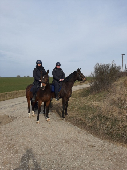 Znojemsko: Provedli jsme kontrolu rekreačních chat
